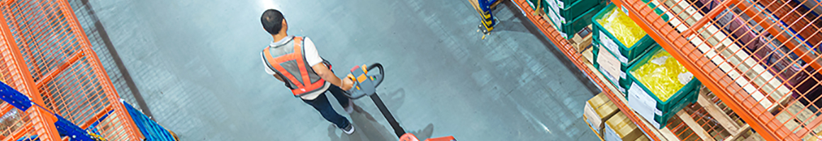 Integrated ERP-WMS-OTM solution