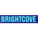 Brightcove Video Connect for Oracle Eloqua 日本語版