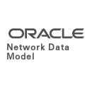 Oracle Spatial Network Data Model