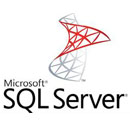 Microsoft SQL Server 2019 Enterprise with Windows Server 2016