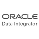 Data Integrator: Web Edition