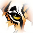 TigerTMS - iLink Web