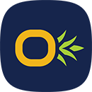 TYNGO
