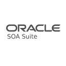 Oracle SOA Suite (PAID)