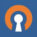 OpenVPN Access Server / Self-Hosted VPN (BYOL)