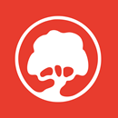 Oracle Aconex Mail to Risk Mitigation: Linking Early Warnings to Risk Register