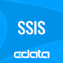 CData SSIS Components Subscription