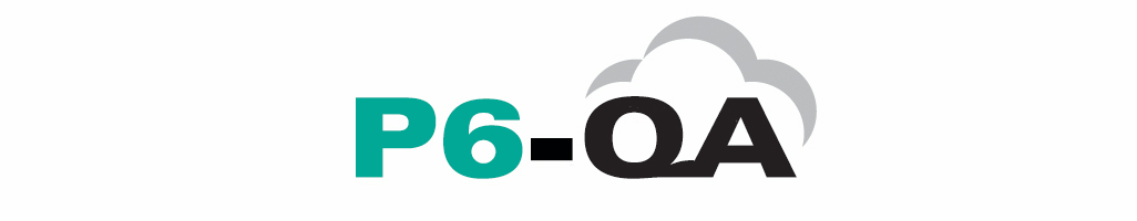 P6-QA Tool