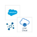 Salesforce.com and ERP Cloud | Opportunity to Order (Sync Call) | OIC Recipe