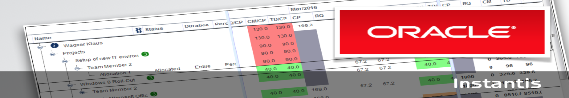 Instantis IT PPM Configuration